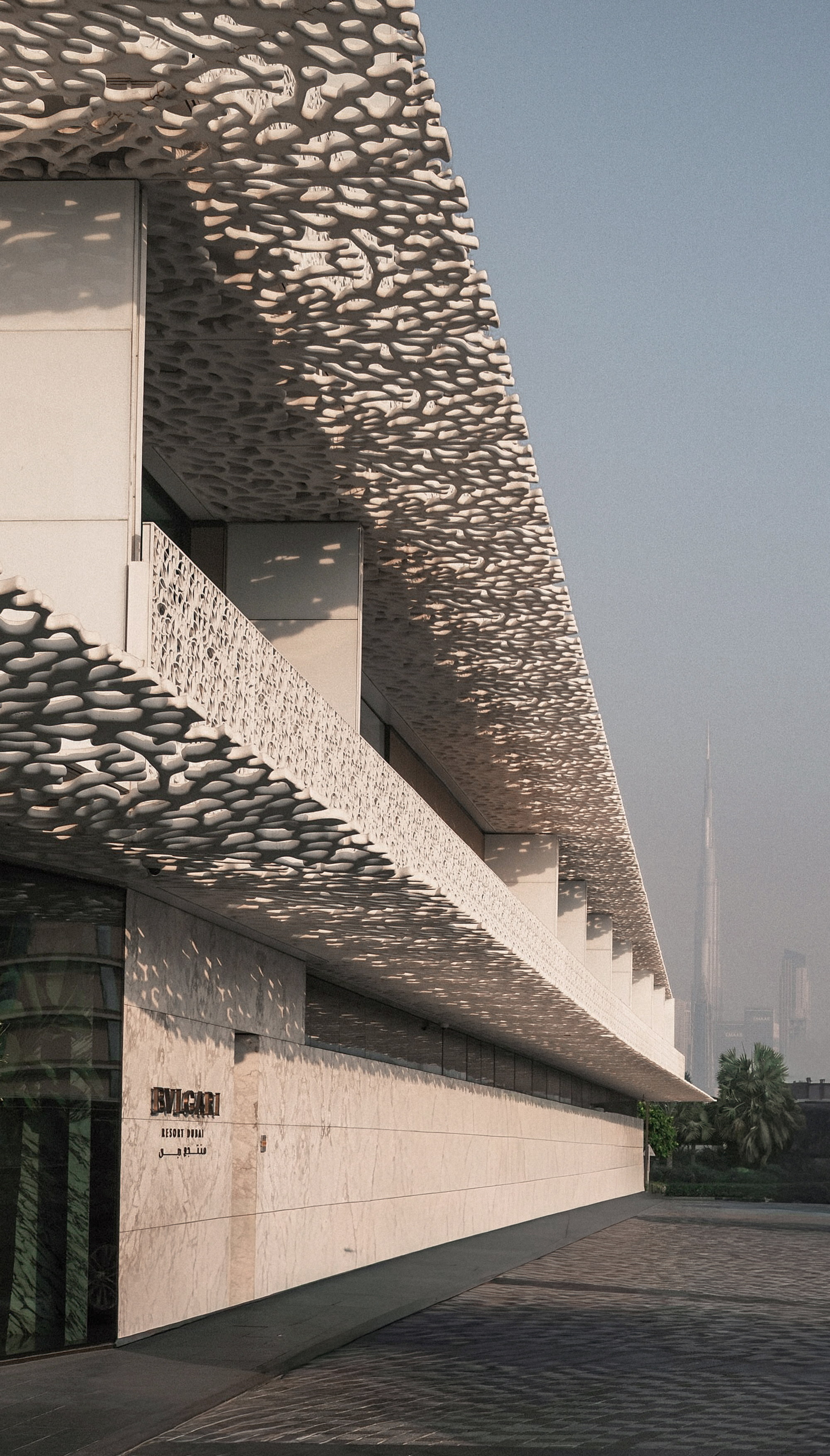 The coral canopy at first light, the tower in haze