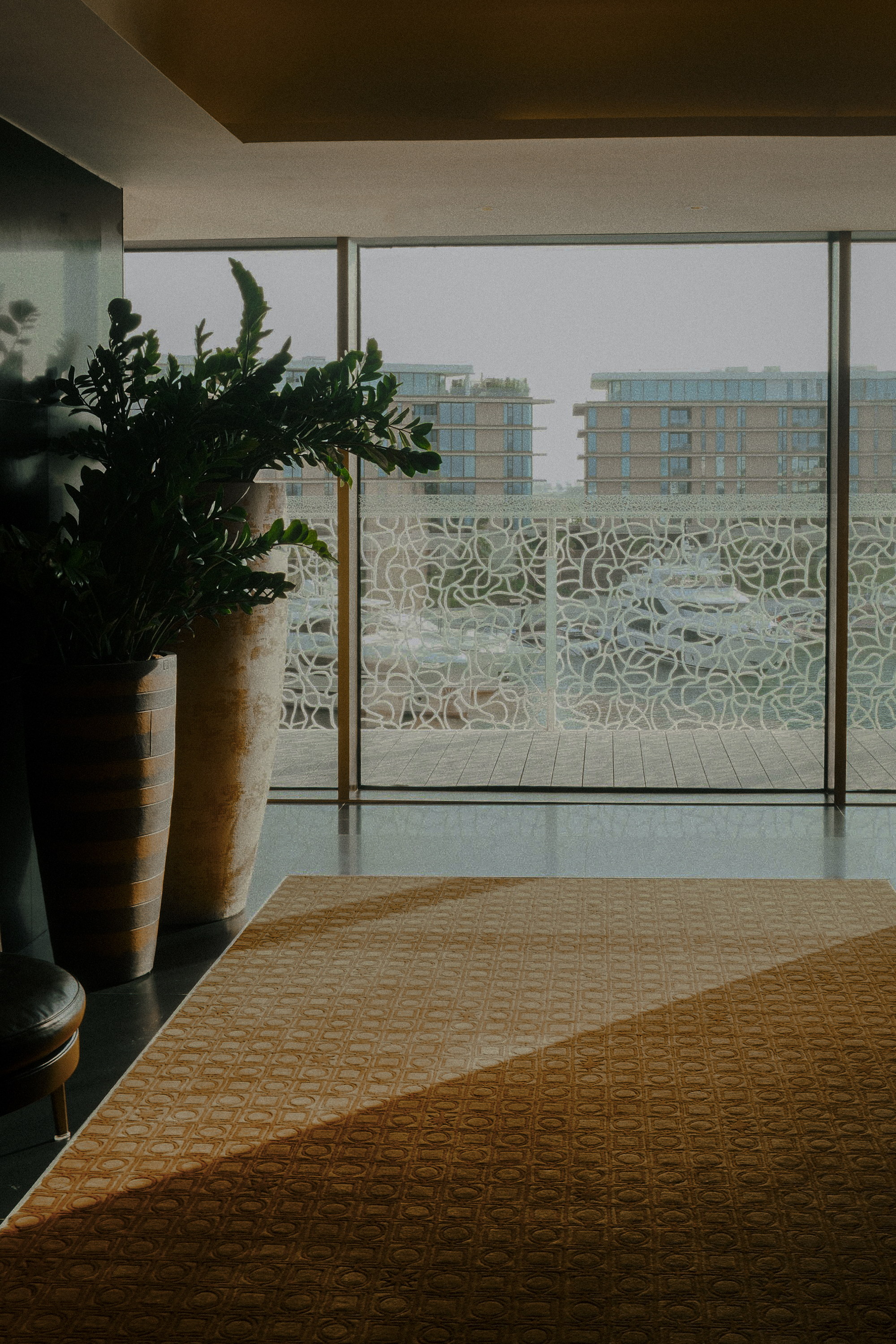 Afternoon sun across the patterned carpet