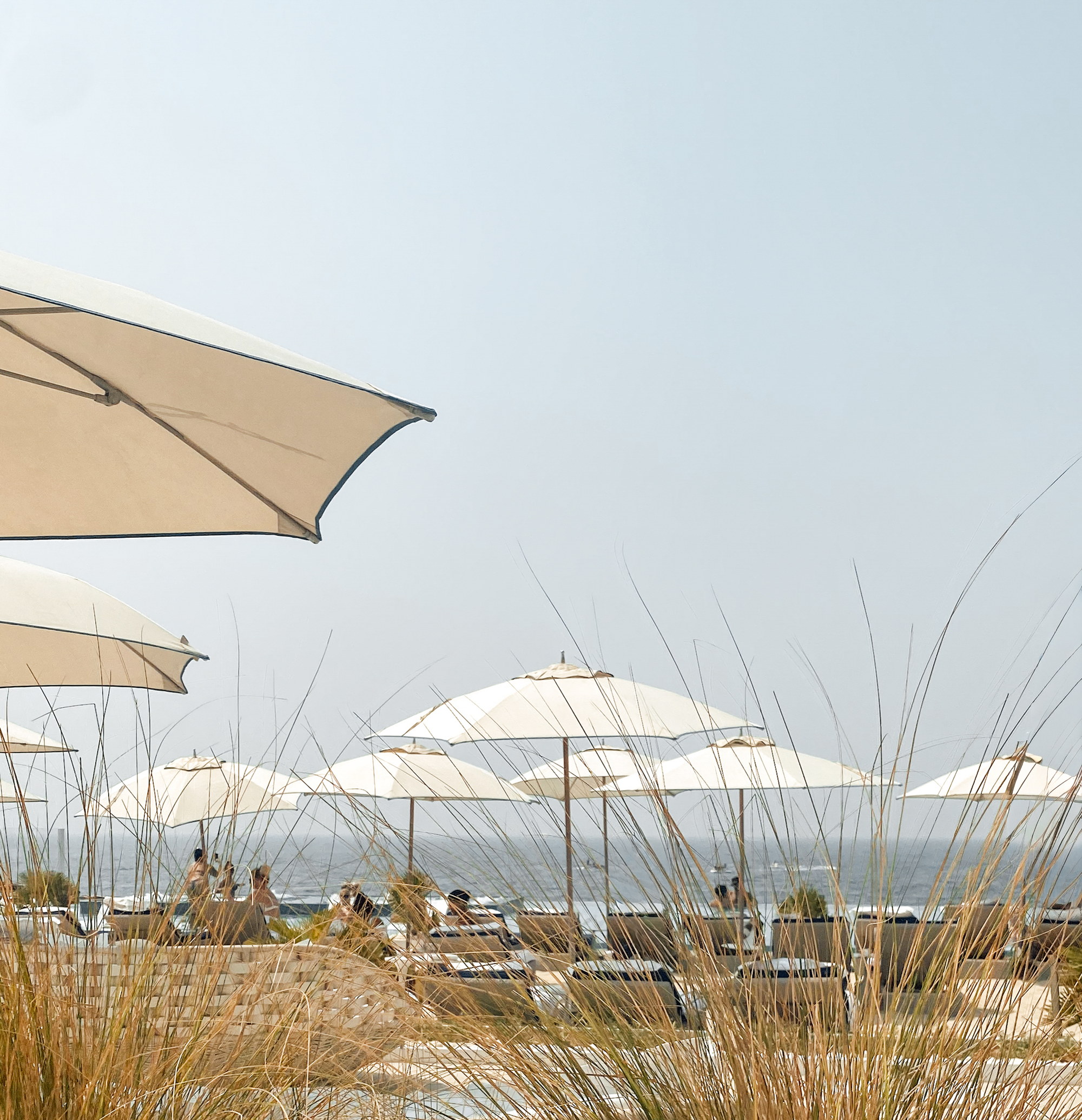 Parasols and dune grass above the shore