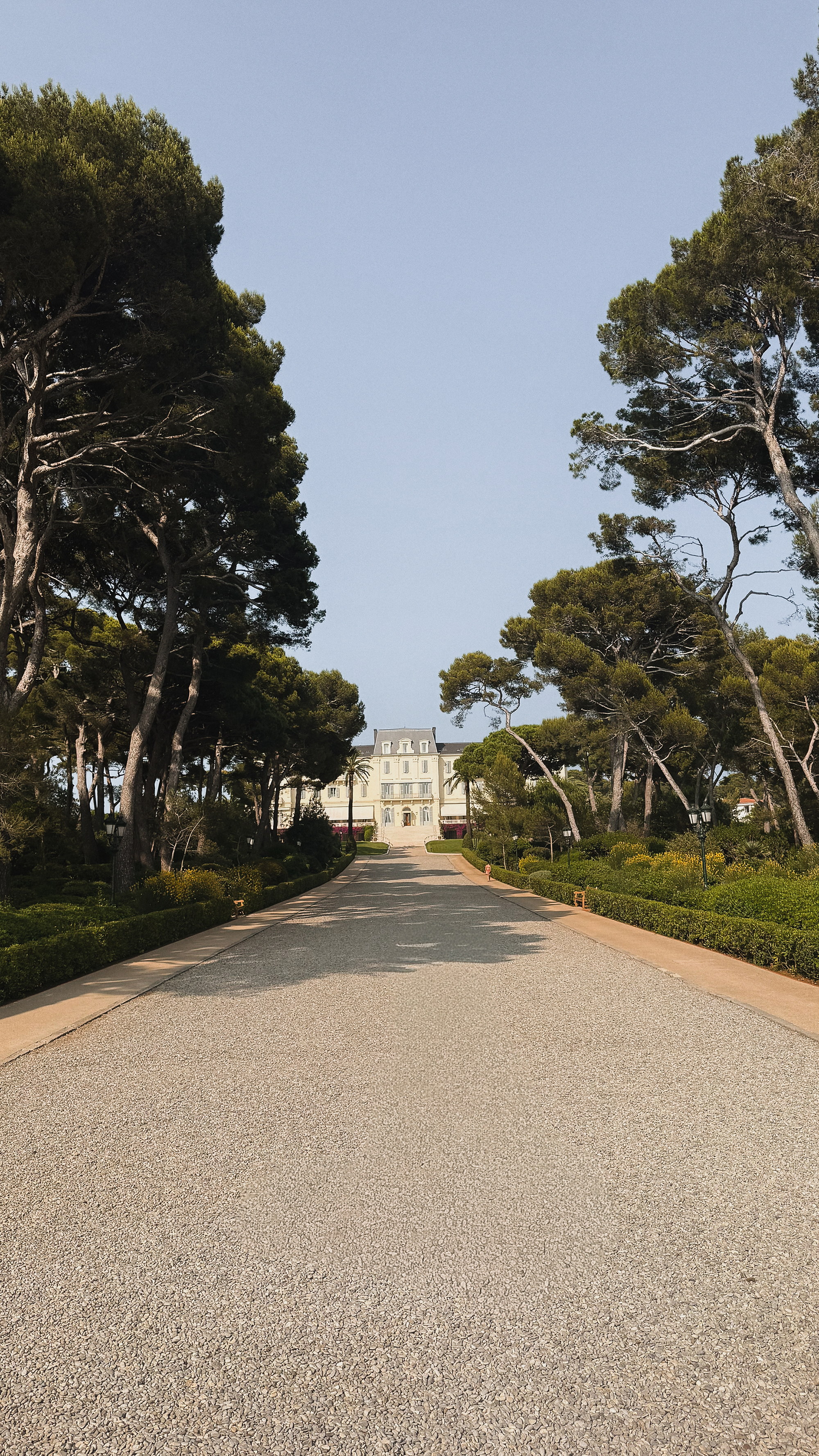 The approach beneath the pines, the hotel closing the axis