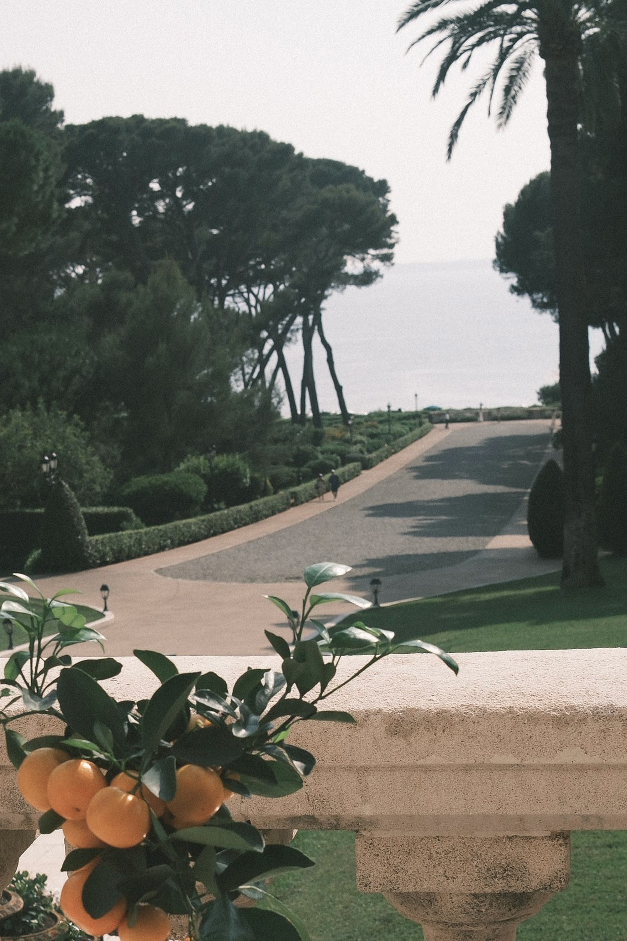 Kumquats on the balustrade, the drive falling to the sea