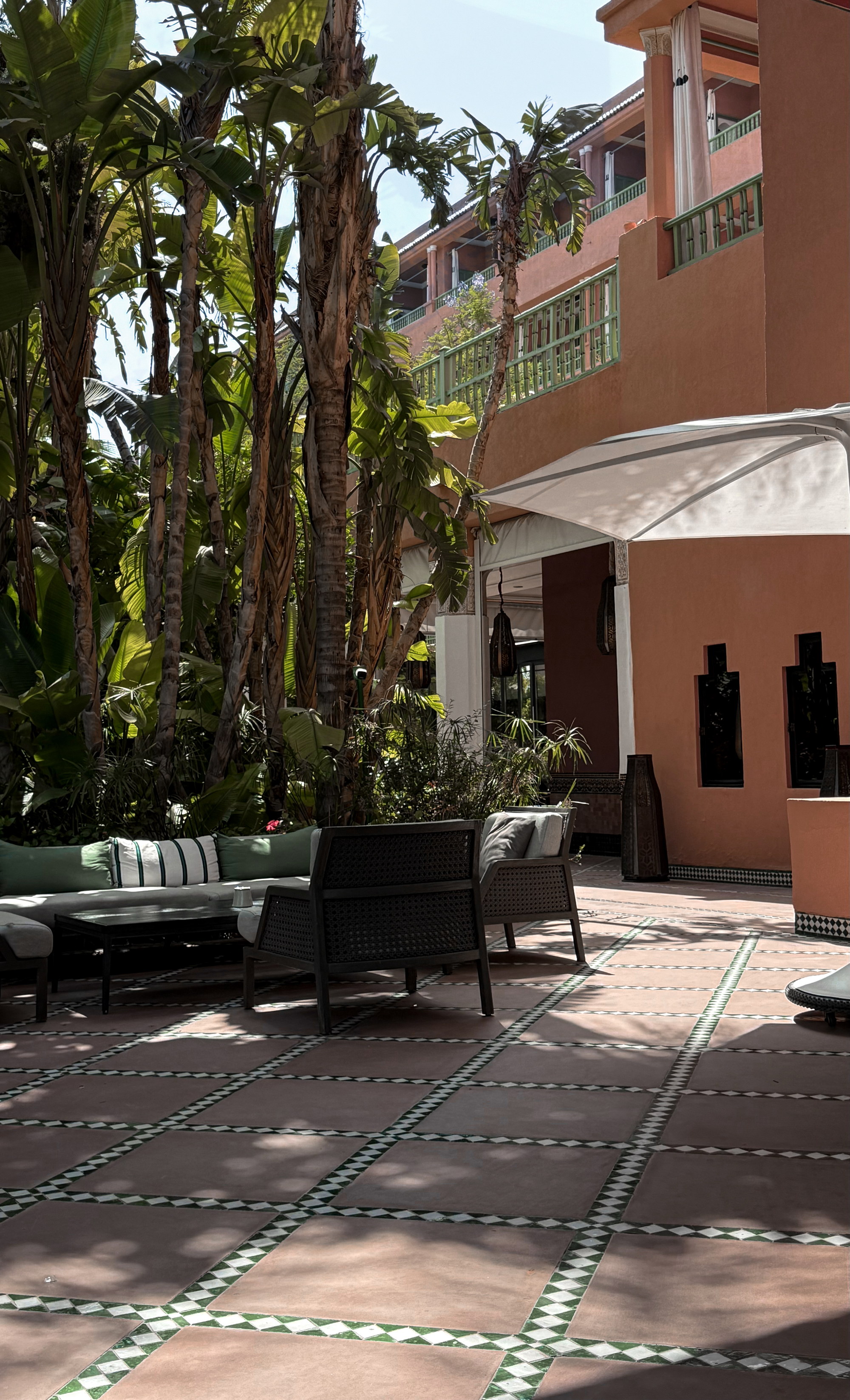 The terrace beneath the banana palms