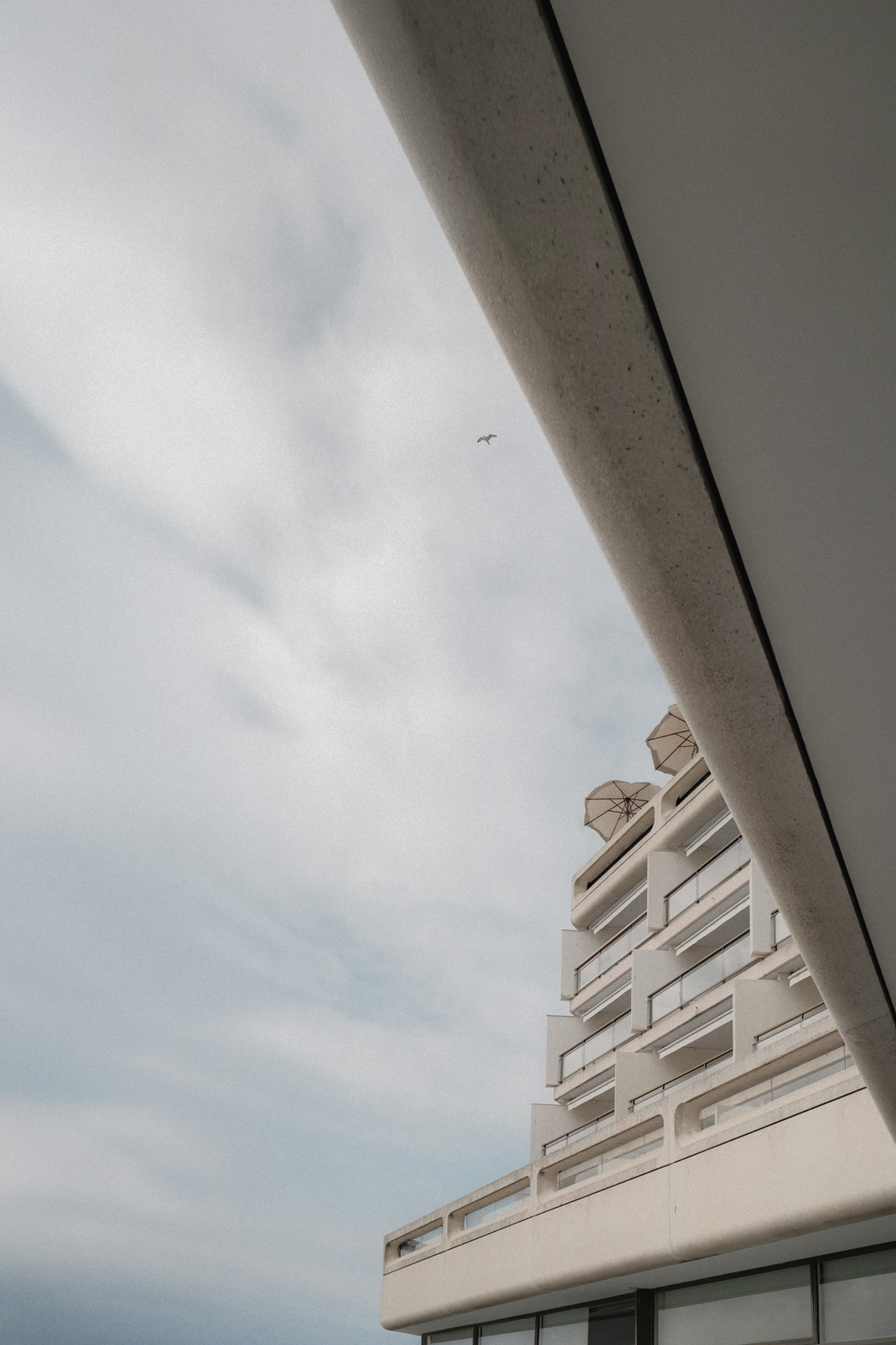 A concrete soffit cutting the sky, terraces stepping down behind it, one gull held above